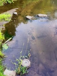 High angle view of rocks in water