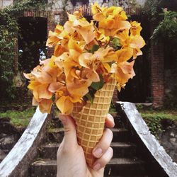 Close-up of cropped hand holding flower