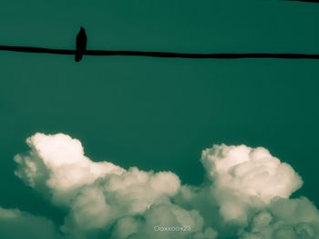 Low angle view of bird on cable against sky