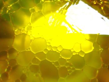 Full frame shot of tiled floor