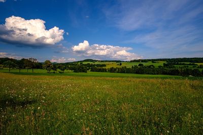 Scenic view of field against sky