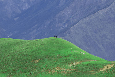 Scenic view of landscape