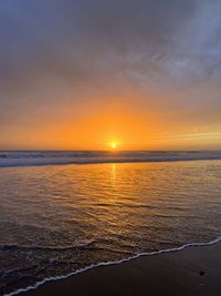 sunlight