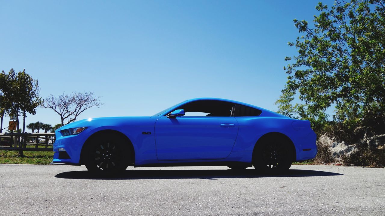 CAR AGAINST BLUE SKY AND TREES