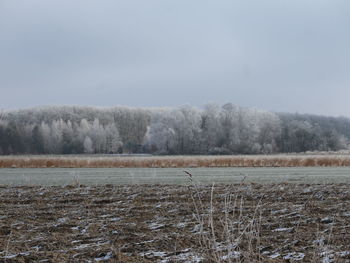 winter