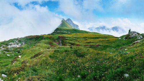 Scenic view of field against sky