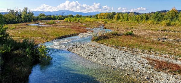 Scenic view of stream amidst trees against sky