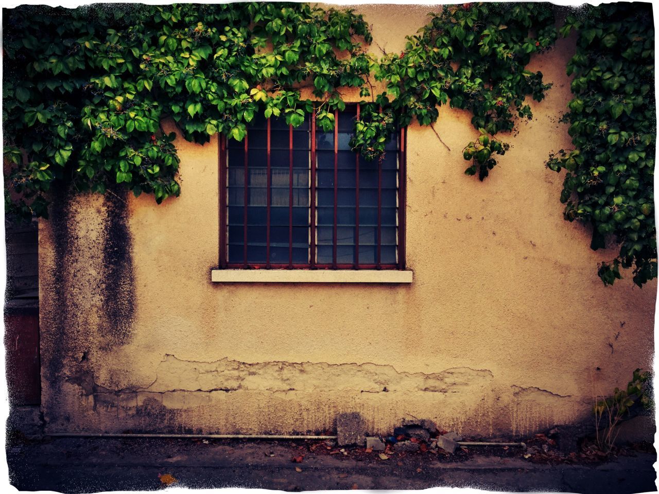 WALL WITH WINDOWS