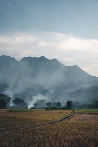 Scenic view of field against sky