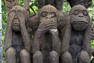 Close-up of statue against trees