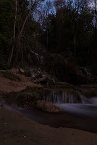 Scenic view of river flowing at forest
