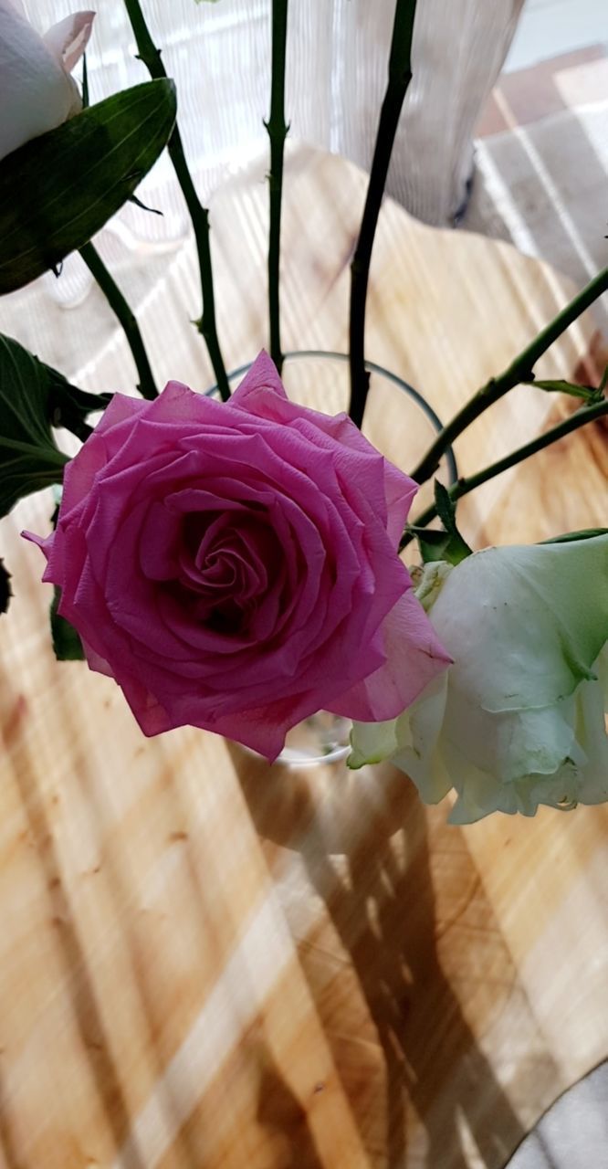 CLOSE-UP OF ROSE BOUQUET ON TABLE