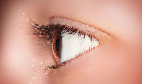 Close-up of woman eye