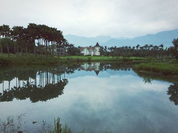 Reflection of trees in calm lake