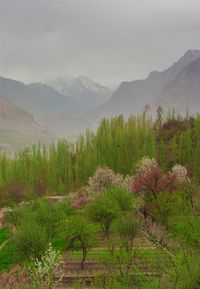 Scenic view of landscape and mountains against sky