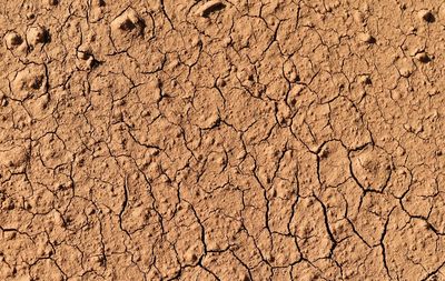 Close-up of cracked land