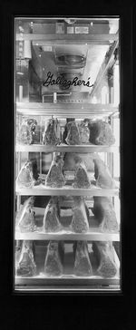 Row of objects on shelf