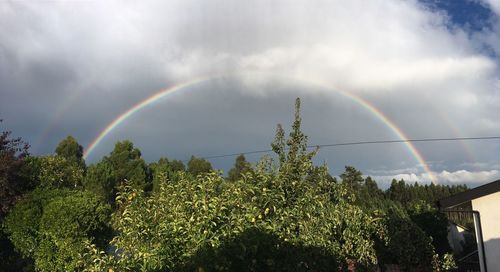 Low angle view of rainbow over trees against sky