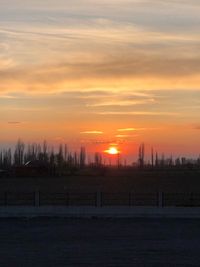 Silhouette trees on field against sky during sunset