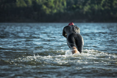 Rear view of horse in sea