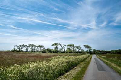 Road amidst field against sky