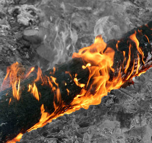 Close-up of campfire