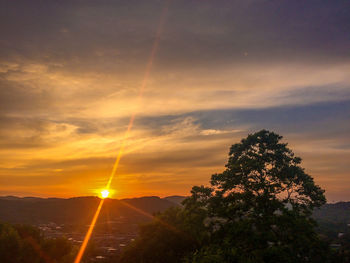 Scenic view of tree against sky during sunset