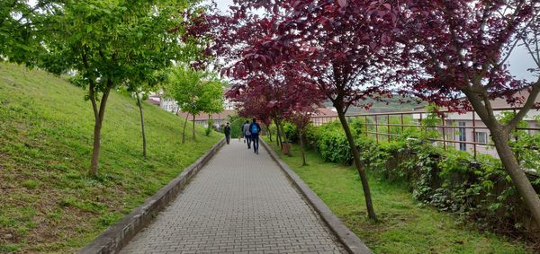 People walking on footpath amidst trees