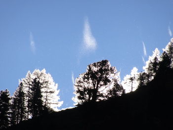 Low angle view of silhouette trees against sky