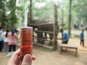 Cropped hand holding syringe with liquid against elephant