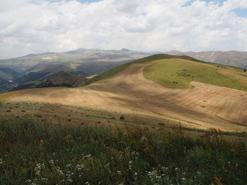 Scenic view of field against sky