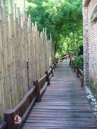 Wooden pathway along trees