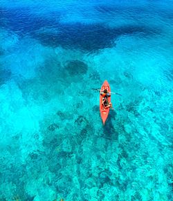 High angle view of woman swimming in sea