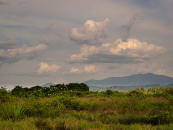 Scenic view of landscape against sky