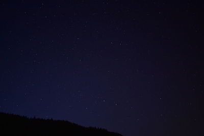 Low angle view of star field against sky at night