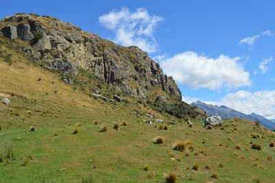 View of sheep grazing on field against sky