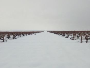 Snow covered landscape against clear sky