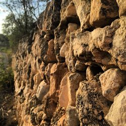 Rock formations in forest