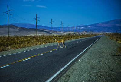 Road passing through landscape against sky