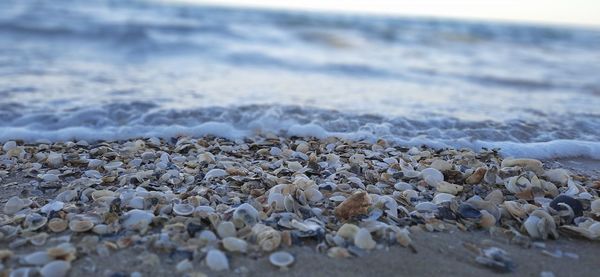 Surface level of stones on beach