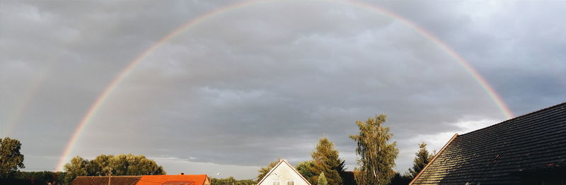 Rainbow over trees