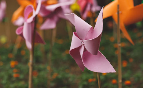 Close-up of pinwheel toys on field