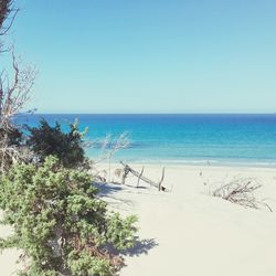 Scenic view of sea against clear blue sky