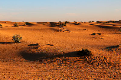 Scenic view of desert