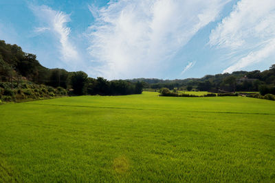 Scenic view of green landscape against sky