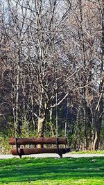 Empty bench in park