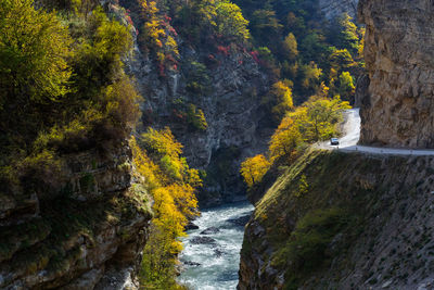 Scenic view of waterfall in forest