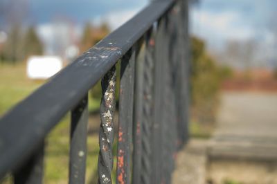 Close-up of plant against blurred background