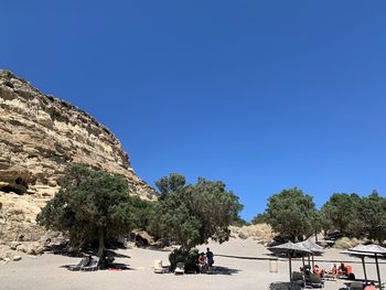 Trees and plants on land against clear blue sky