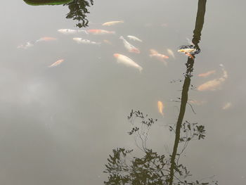 High angle view of a lake